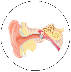 physiotherapy-Vestibular-Rehabilitation